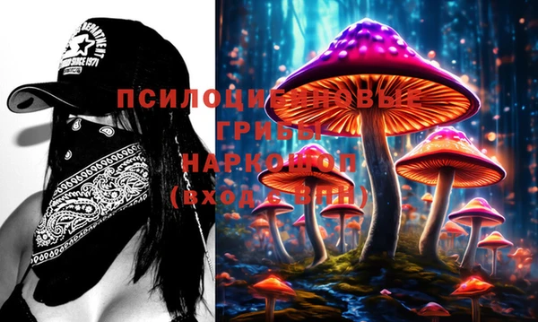 МДПВ Алзамай