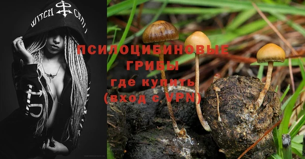 Альфа ПВП Алексеевка