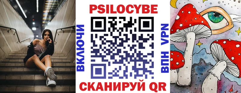 закладка  Саки  Галлюциногенные грибы Cubensis 