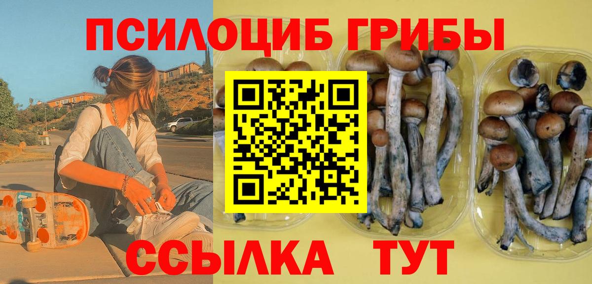 Саки  Галлюциногенные грибы мицелий  Вход с VPN  Псилоцибиновые грибы прущие грибы 